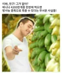 의외로 방사능 함량이 높은 식품