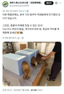 엉덩이를 마구 만질 수 있다는 일본 전시회