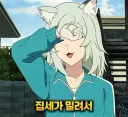 담배고양이 집주인 인성 특