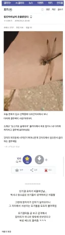 모기 갤러리 회원이 감동을 금치 못했던 이유 . JPG