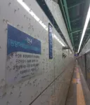유머) 대량발생 볼때마다 별 생각없는 이유