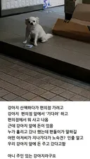 편의점 앞.. 노숙자 강아지 아니에요!