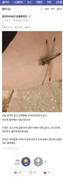 모기 갤러리 회원이 감동을 금치 못했던 이유 . JPG