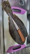 잡아온 광어 포 떠놨습니다..jpg