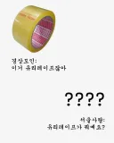 유리 테이프가 경상도 사투리라구 ?