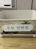 교회 왔는데 이거 뭐냐?