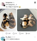 레이어 복사해서 이동 후 오파시티 70%.jpg