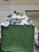 젠레스)뾲이는 거기 살아