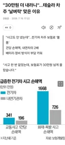 날벼락 맞은 테슬라 차주