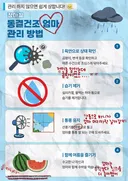 장마철 동결건조 엄마 관리 방법