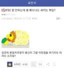 ㅅㅂ 이 밈은 유명해져선 안됐음