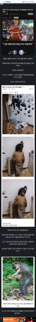 개지리는 무협지 도입부.jpg