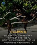 전세계 인간의 출입이 금지된곳들