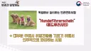 강형욱 관련 영상들 보면 독일처럼 반련동물 면허가 필요하다.