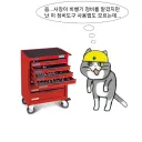 국내 ↗소냥이 실화