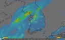 이번 주말 지나고 나면 비는 소강상태로 예보하네요,