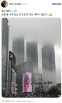 스레드 습도 95 부산 풍경