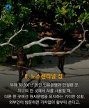 전세계 인류 접근 금지 구역 8
