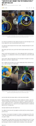 설빙 알바생, 걸레 만지고 재료 손질 위생 논란