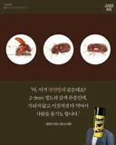 바퀴벌레 보다 더 빡치는 지독한 사람 미치게 하는 벌레