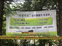 계곡 평상 장사 안 접는 이유
