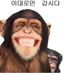 블루아카 안하는 유게이들 특