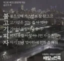 배민 불고기피자 5행시 대상 수상작