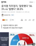 잡담] 여론조사는 걍 참고만 하는 수준으로 끝내야죠