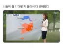 한국 여름 풍경.jpg