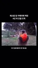 채소 훔쳐 먹는 4년차 단골 도둑