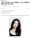 중국 국적표절 도넘은 명예훼손..아이유, 법원에 악플러 신원 조회 요청