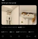 높이 계산 실패한 캣타워.jpg