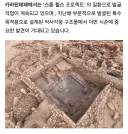인류 초초고대문명 근황