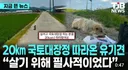 살기 위해 필사적으로 따라온 유기견...