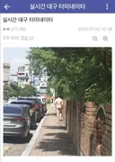 이 맘때 쯤 나타난다는 대구 터미네이터