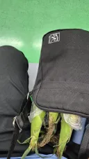 지하철에 출몰한 수상한 옥수수 좋아 청년