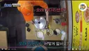 백종원=한동훈