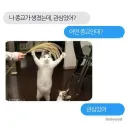"나 종교 생겼는데 관심있어?"
