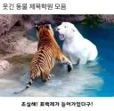 동물 버전 제목학원.jpg
