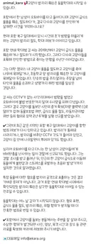 고양이 밥자리 훼손은 동물학대의 시작일 수 있습니다 (포항 고양이 학대범 또 활동..?)