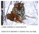 자꾸만 고려장 고려장 이딴 말 아직도 하는데 말이지.