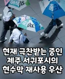 현재 극찬받는 제주도 서귀포시 우산