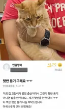 당근)햇반 용기 나눔 부탁해요.