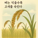 은근 자주 발생하는 착각
