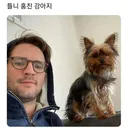 틀니 훔친 강아지