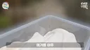 아이바오한테 대놓고 아기 좀 달라는 송바오ㅋㅋ.gif