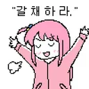 이번 여름 제일 잘한거