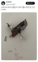 서코에서 초콜릿 테러