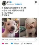 왼쪽같던 조카 오랜만에 만나면 사춘기 와서 오른쪽 되어있음