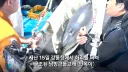 사람 좋아하다가 다친 '안목이'..해수부 구조 손길에 "삐약삐약"